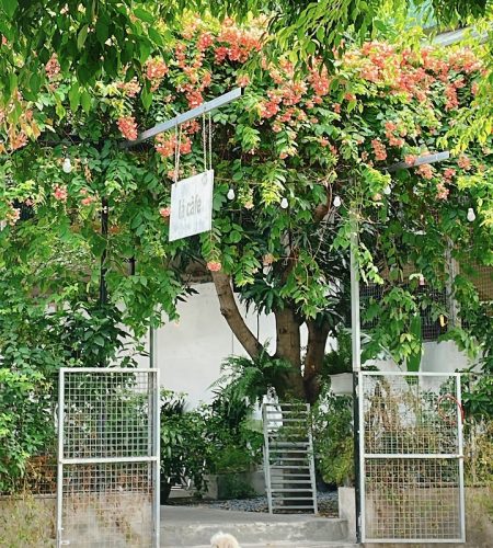 Lá CàFe (Hồ Goong)